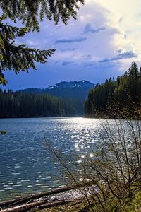 Preview wallpaper lake, mountains, trees, branches, landscape