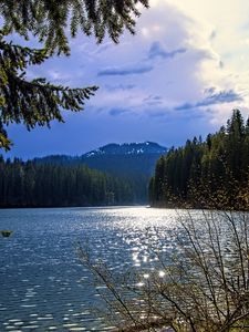 Preview wallpaper lake, mountains, trees, branches, landscape