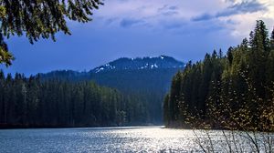 Preview wallpaper lake, mountains, trees, branches, landscape