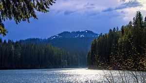 Preview wallpaper lake, mountains, trees, branches, landscape