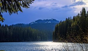 Preview wallpaper lake, mountains, trees, branches, landscape