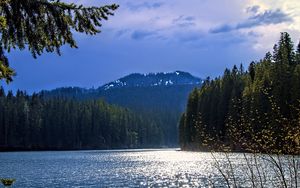 Preview wallpaper lake, mountains, trees, branches, landscape