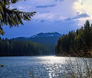 Preview wallpaper lake, mountains, trees, branches, landscape