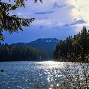 Preview wallpaper lake, mountains, trees, branches, landscape