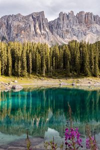 Preview wallpaper lake, mountains, trees, landscape, mountain landscape, italy