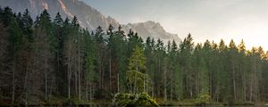 Preview wallpaper lake, mountains, trees, sky, peaks