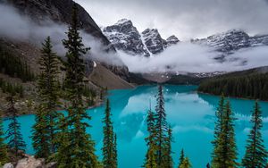 Preview wallpaper lake, mountains, trees, clouds, landscape