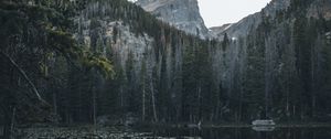 Preview wallpaper lake, mountains, trees, water, water lilies