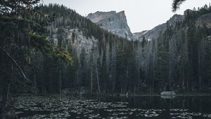 Preview wallpaper lake, mountains, trees, water, water lilies