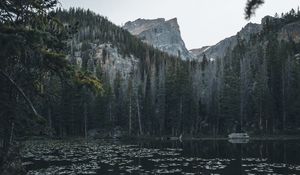 Preview wallpaper lake, mountains, trees, water, water lilies