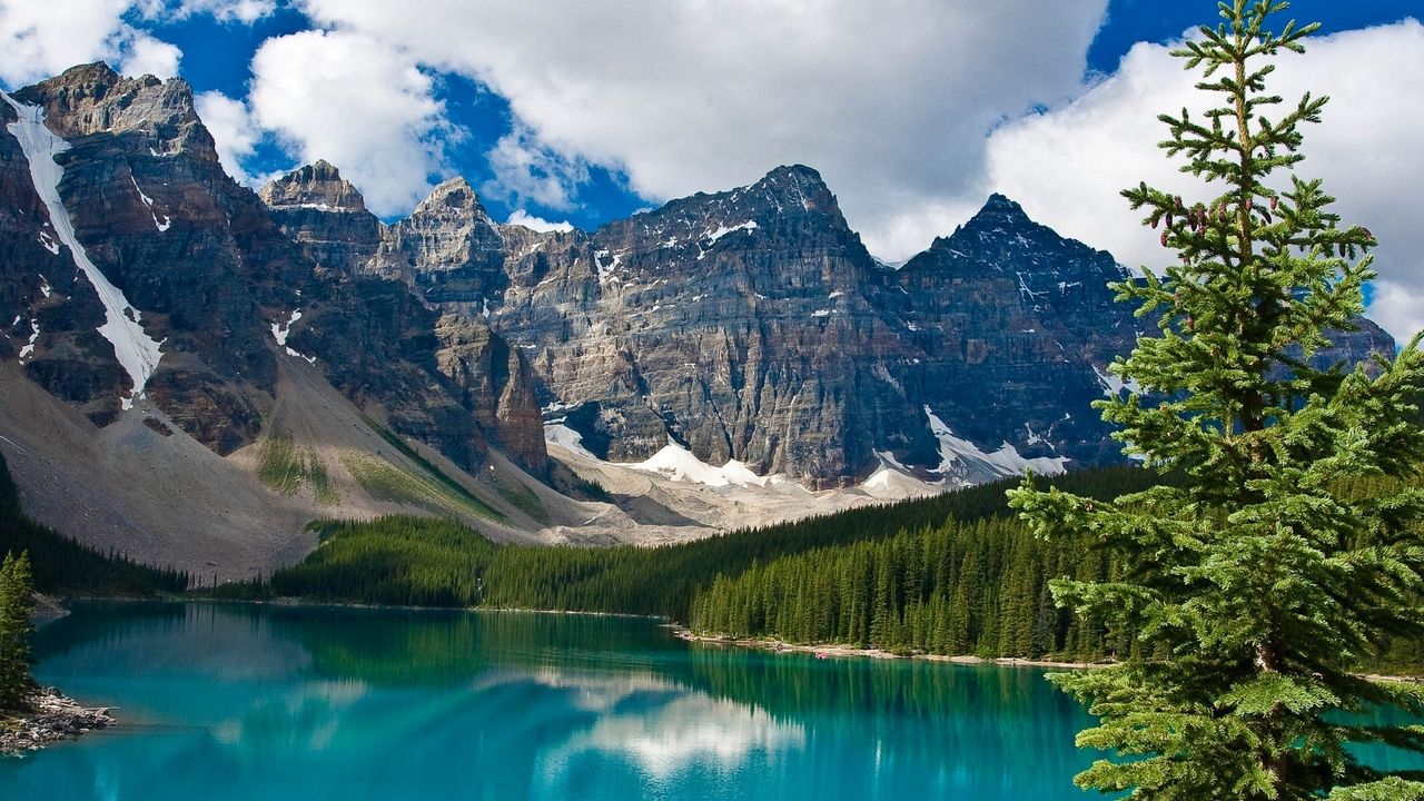 Wallpaper lake, mountains, trees, fir-tree, water table
