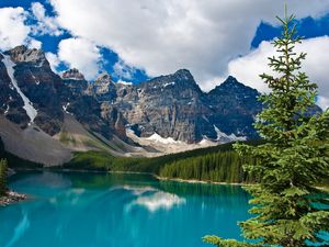 Preview wallpaper lake, mountains, trees, fir-tree, water table