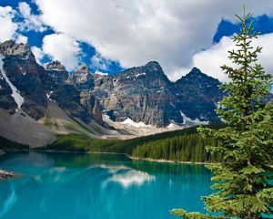 Preview wallpaper lake, mountains, trees, fir-tree, water table