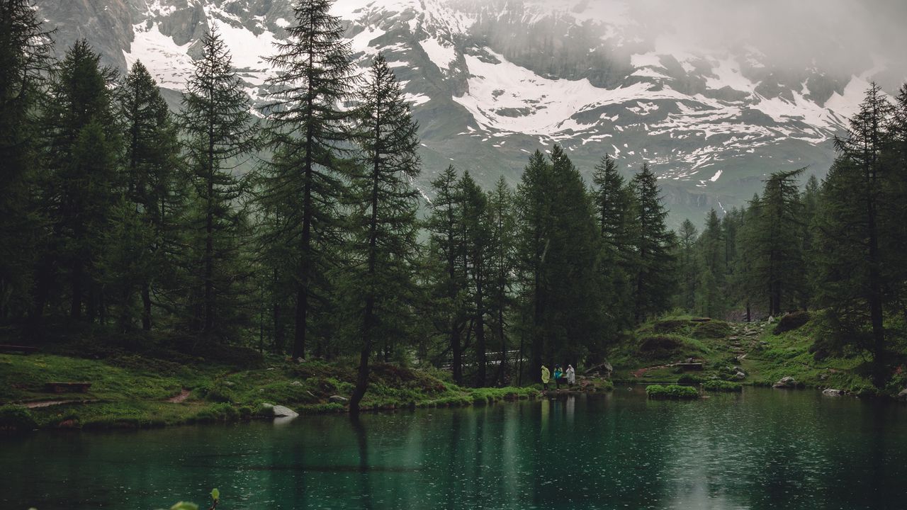 Wallpaper lake, mountains, trees, rain, nature