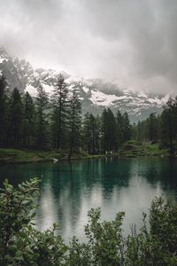Preview wallpaper lake, mountains, trees, rain, nature