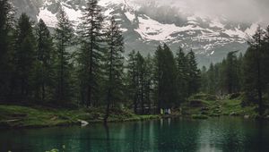 Preview wallpaper lake, mountains, trees, rain, nature