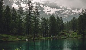 Preview wallpaper lake, mountains, trees, rain, nature
