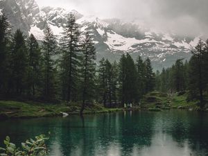 Preview wallpaper lake, mountains, trees, rain, nature