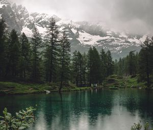 Preview wallpaper lake, mountains, trees, rain, nature