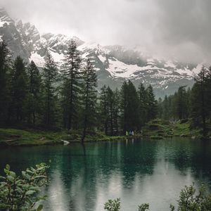 Preview wallpaper lake, mountains, trees, rain, nature