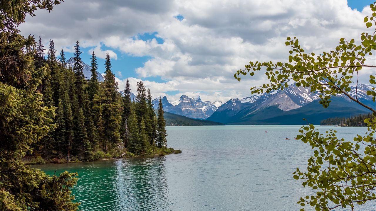 Wallpaper lake, mountains, trees, branches