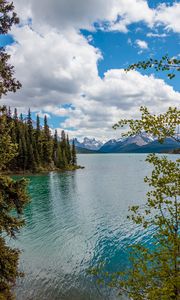 Preview wallpaper lake, mountains, trees, branches