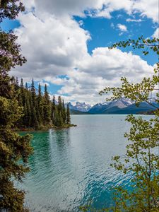 Preview wallpaper lake, mountains, trees, branches