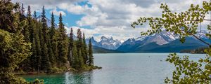 Preview wallpaper lake, mountains, trees, branches