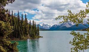 Preview wallpaper lake, mountains, trees, branches
