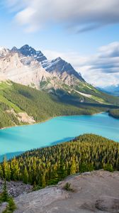 Preview wallpaper lake, mountains, trees, spruce, landscape