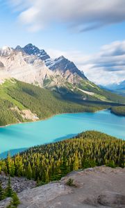 Preview wallpaper lake, mountains, trees, spruce, landscape