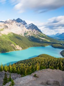 Preview wallpaper lake, mountains, trees, spruce, landscape