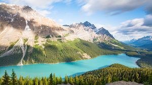 Preview wallpaper lake, mountains, trees, spruce, landscape