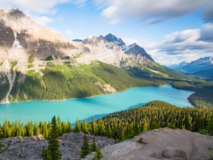 Preview wallpaper lake, mountains, trees, spruce, landscape