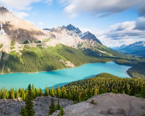 Preview wallpaper lake, mountains, trees, spruce, landscape