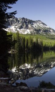 Preview wallpaper lake, mountains, trees, spruce, landscape, reflection