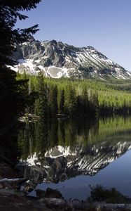 Preview wallpaper lake, mountains, trees, spruce, landscape, reflection