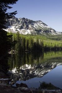 Preview wallpaper lake, mountains, trees, spruce, landscape, reflection