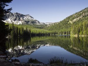 Preview wallpaper lake, mountains, trees, spruce, landscape, reflection