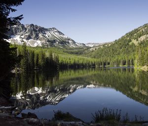 Preview wallpaper lake, mountains, trees, spruce, landscape, reflection