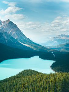 Preview wallpaper lake, mountains, trees, forest, water