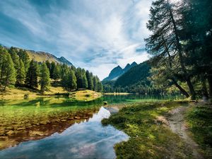 Preview wallpaper lake, mountains, trees, spruce, water