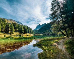 Preview wallpaper lake, mountains, trees, spruce, water