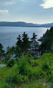 Preview wallpaper lake, mountains, trees, greenery, landscape