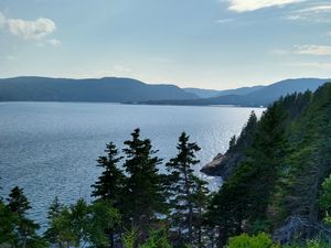 Preview wallpaper lake, mountains, trees, greenery, landscape