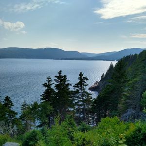 Preview wallpaper lake, mountains, trees, greenery, landscape