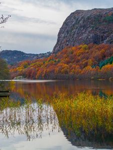 Preview wallpaper lake, mountains, trees, reflection, autumn, landscape