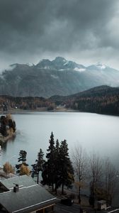 Preview wallpaper lake, mountains, trees, fog, nature