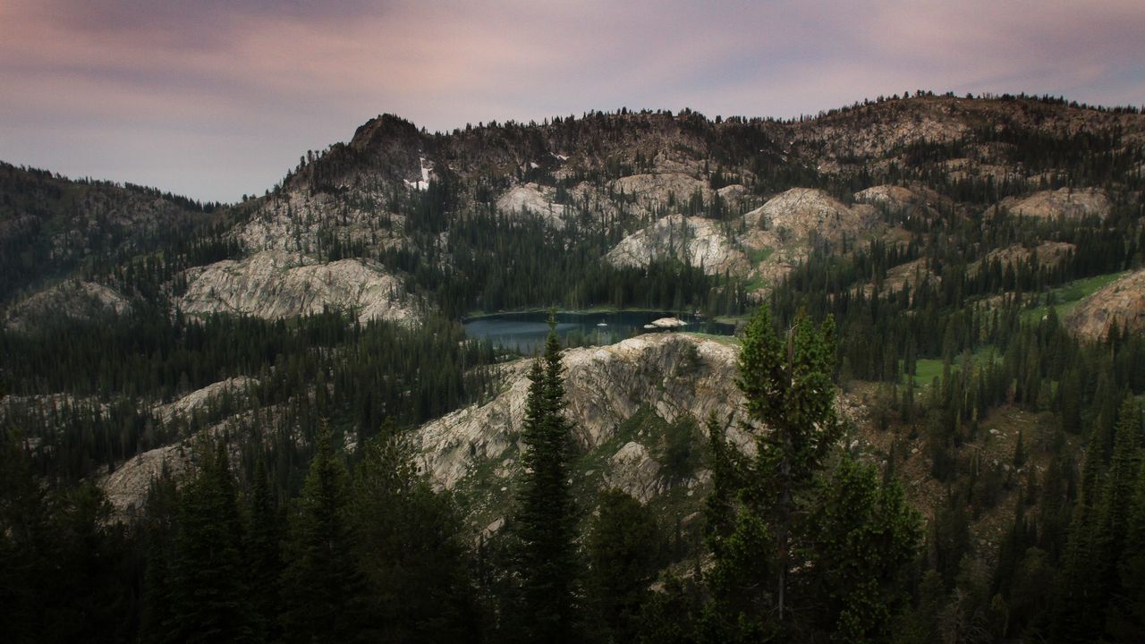 Wallpaper lake, mountains, trees, nature