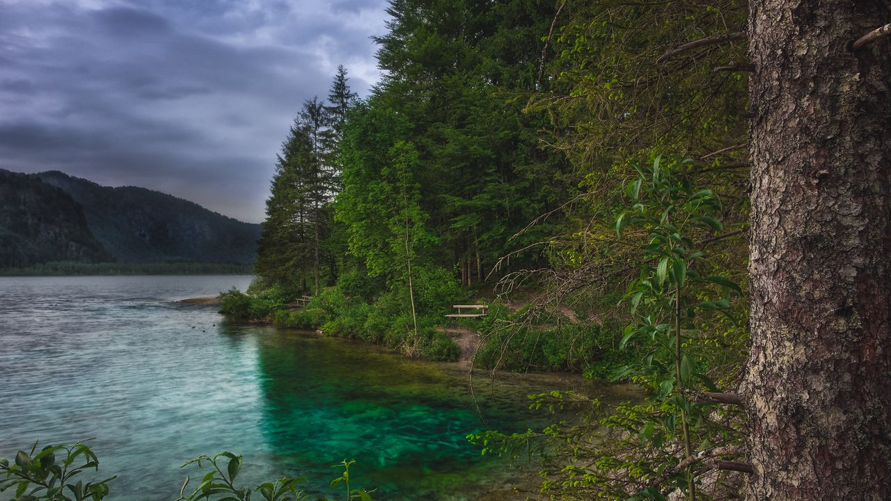 Wallpaper lake, mountains, trees, landscape